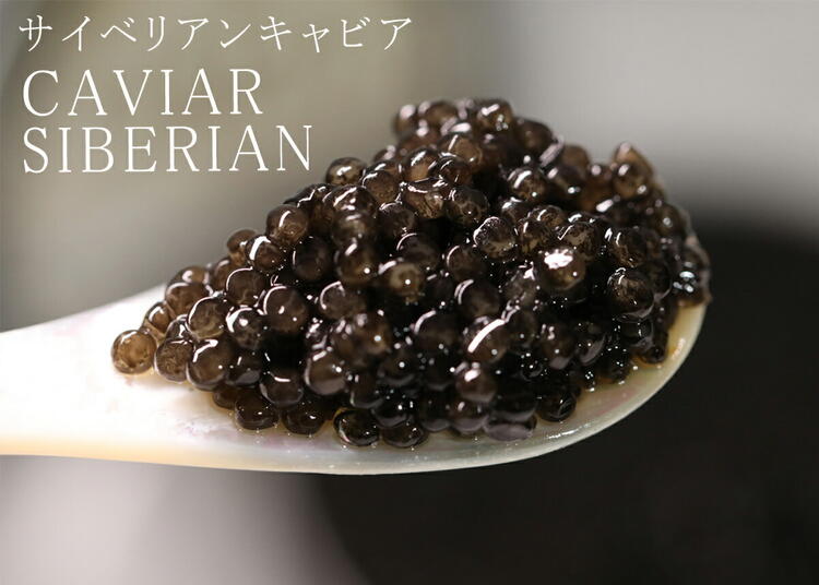 人気NO.1国内独占販売6年熟成純正キャビアシベリアチョウザメの卵caviar【ドイツDH社100年以上歴史あるキャビア専門会社】最高品純正フレッシュサイベリアンキャビア50g