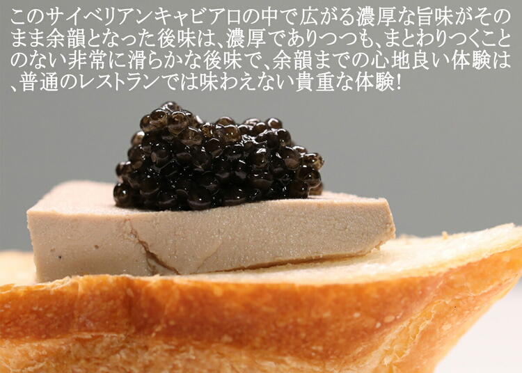 人気NO.1国内独占販売6年熟成純正キャビアシベリアチョウザメの卵caviar【ドイツDH社100年以上歴史あるキャビア専門会社】最高品純正フレッシュサイベリアンキャビア50g