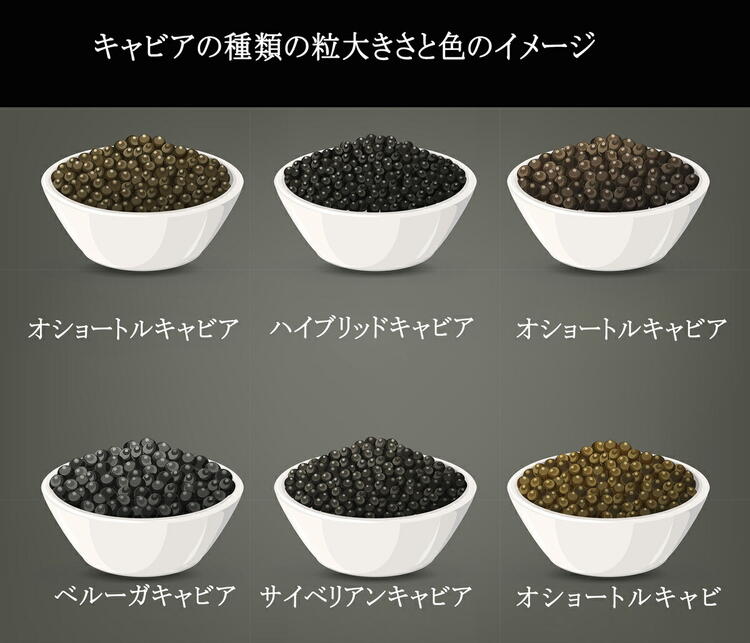 人気NO.1国内独占販売6年熟成純正キャビアシベリアチョウザメの卵caviar【ドイツDH社100年以上歴史あるキャビア専門会社】最高品純正フレッシュサイベリアンキャビア50g