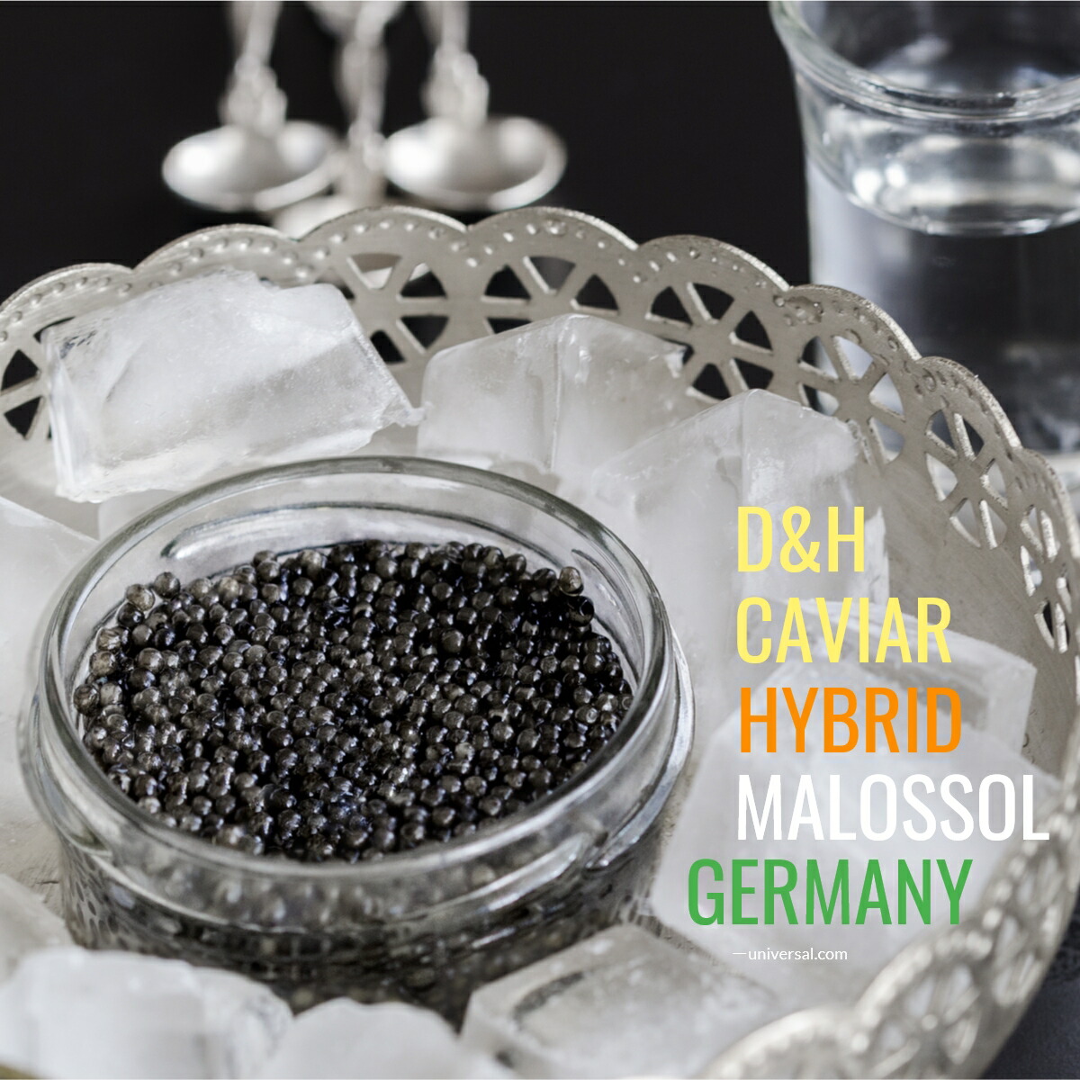 売れ筋アイテムラン DH caviarフレッシュオショートルキャビア50ｇ