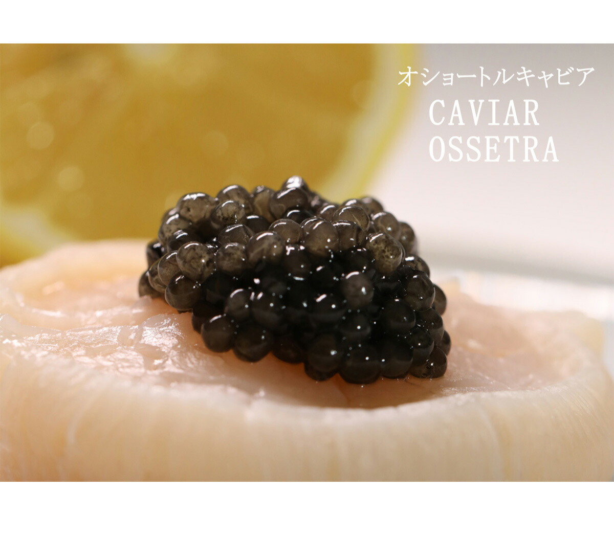 2025年最新】Caviar サングラスの人気アイテム - メルカリ