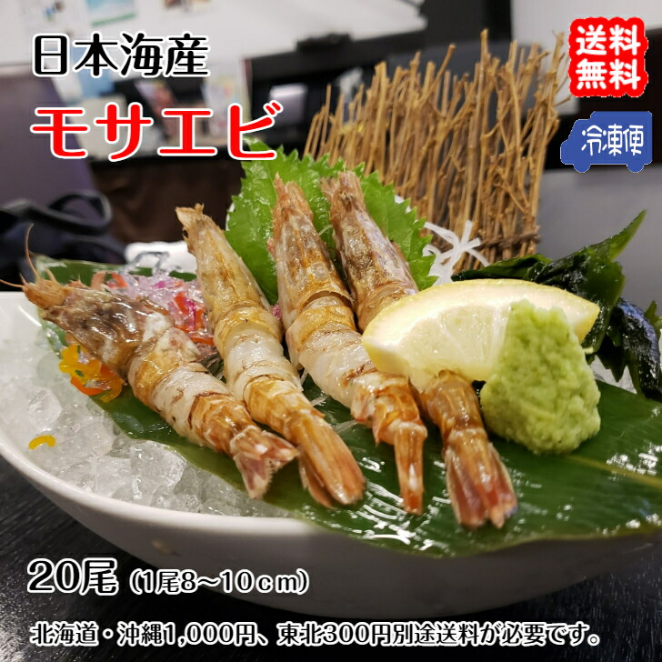 焼き物 楽天市場】YURU-MA 寿司湯呑 280ml / 日本製 美濃焼 / UMA