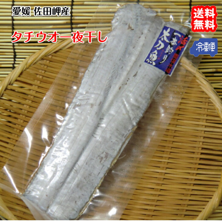 タチウオ 一夜干 真空パック （100g×5p） 冷凍 愛媛 佐田岬 浜から直送 送料無料 北海道/沖縄/東北は別途送料 宇和海の幸問屋 愛媛百貨店