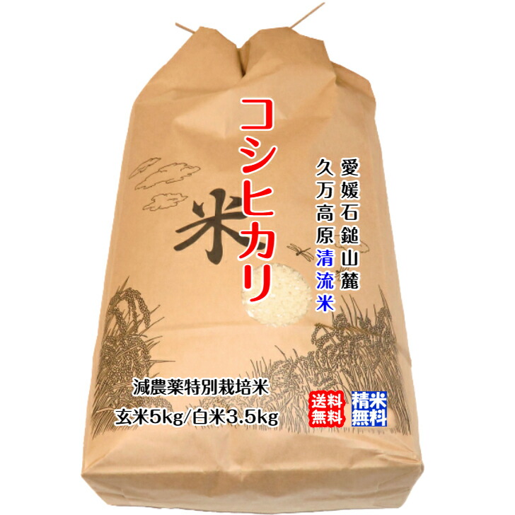 まみ  お米　令和２年　愛媛県産コシヒカリ　玄米　20㎏ 楽天市場】【令和6年度新米】愛媛県産コシヒカリ 美沼姫20kg