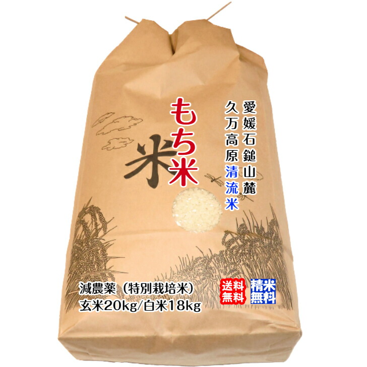 お米　令和2年　愛媛県産松山三井　白米　20㎏ mochikome-20kg.jpg