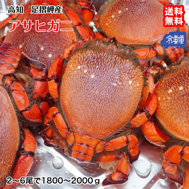 カニ　根付　天然素材 compass1720692111.jpg