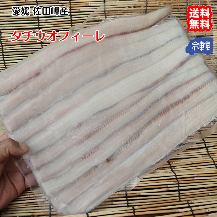 タチウオフィーレ 天然一本釣り （50g×10枚/5匹分） 愛媛 佐田岬産 冷凍 真空パック 浜から直送 送料無料 宇和海の幸問屋 愛媛百貨店