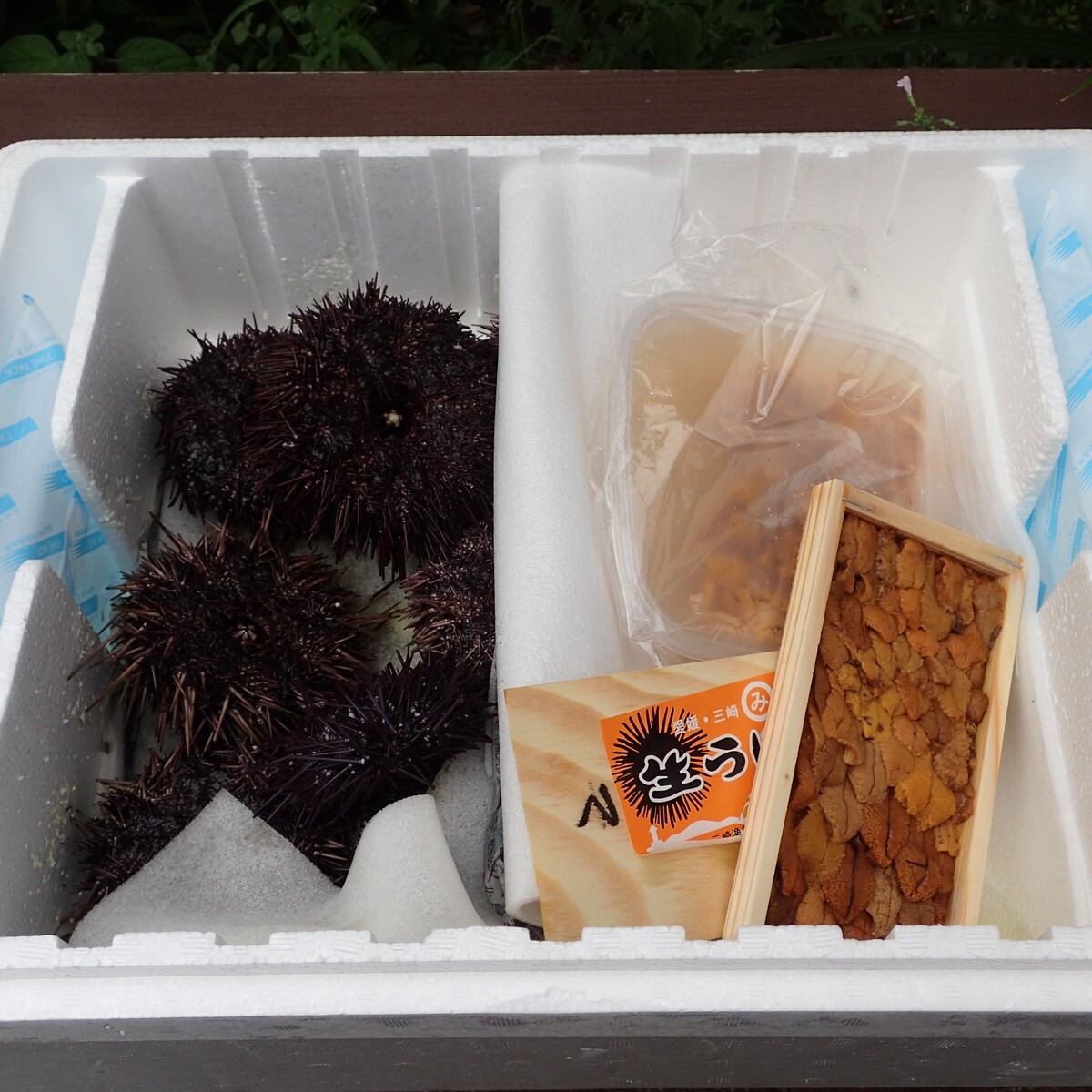 79 Off 愛媛 天然 ウニ三昧 板ウニ 塩水ウニ 殻付きウニ 紫ウニ 赤ウニ 素潜り海士 送料無料 浜から直送 宇和海の幸問屋 Blog Doacaolegal Com Br