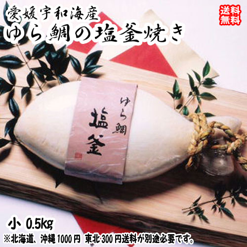 鯛の塩釜焼 （小 魚体約30cm0.5kg） 愛媛 お祝 お食い初め 慶事 浜から直送 送料無料 北海道/沖縄/東北は別途送料 宇和海の幸問屋 愛媛百貨店