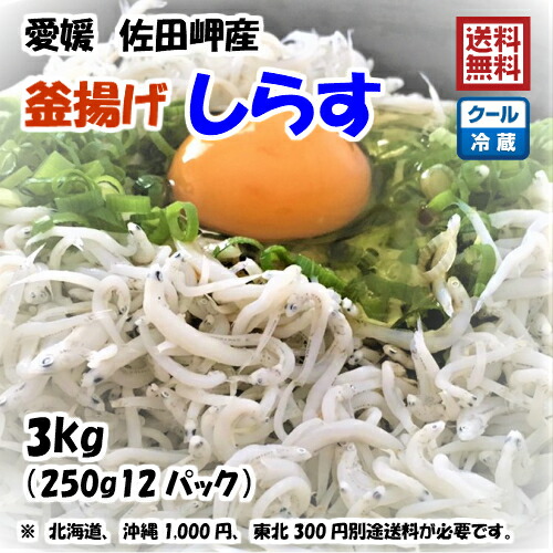 愛媛佐田岬産(釜揚げしらす3kg)250g×12p小分け冷蔵便送料無料北海道、沖縄、東北は別途送料宇和海の幸問屋