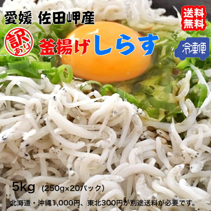 楽天市場】愛媛 佐田岬産 ( 釜揚げしらす 訳あり 2kg ) 250g×8p 小分け 冷凍便 送料無料 浜から直送 無添加・無着色 宇和海の幸問屋  : 宇和海の幸問屋