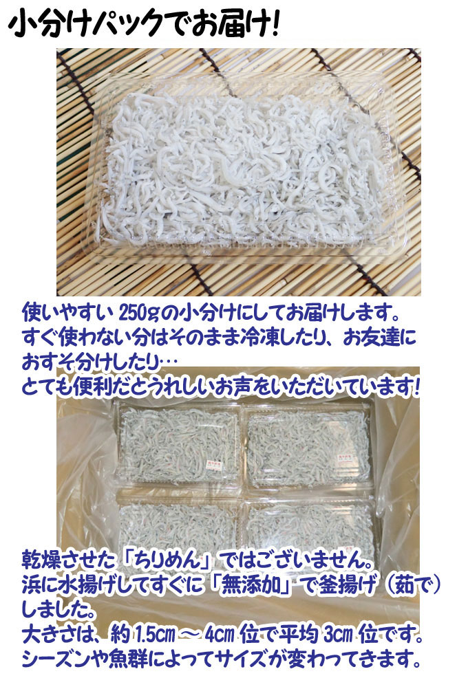 愛媛佐田岬産(釜揚げしらす3kg)250g×12p小分け冷蔵便送料無料北海道、沖縄、東北は別途送料宇和海の幸問屋
