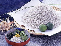 水晶ちりめん 大袋 （80g×10p） 贈答用 愛媛 佐田岬産 送料無料 浜から直送 無添加・無着色 宇和海の幸問屋 愛媛百貨店