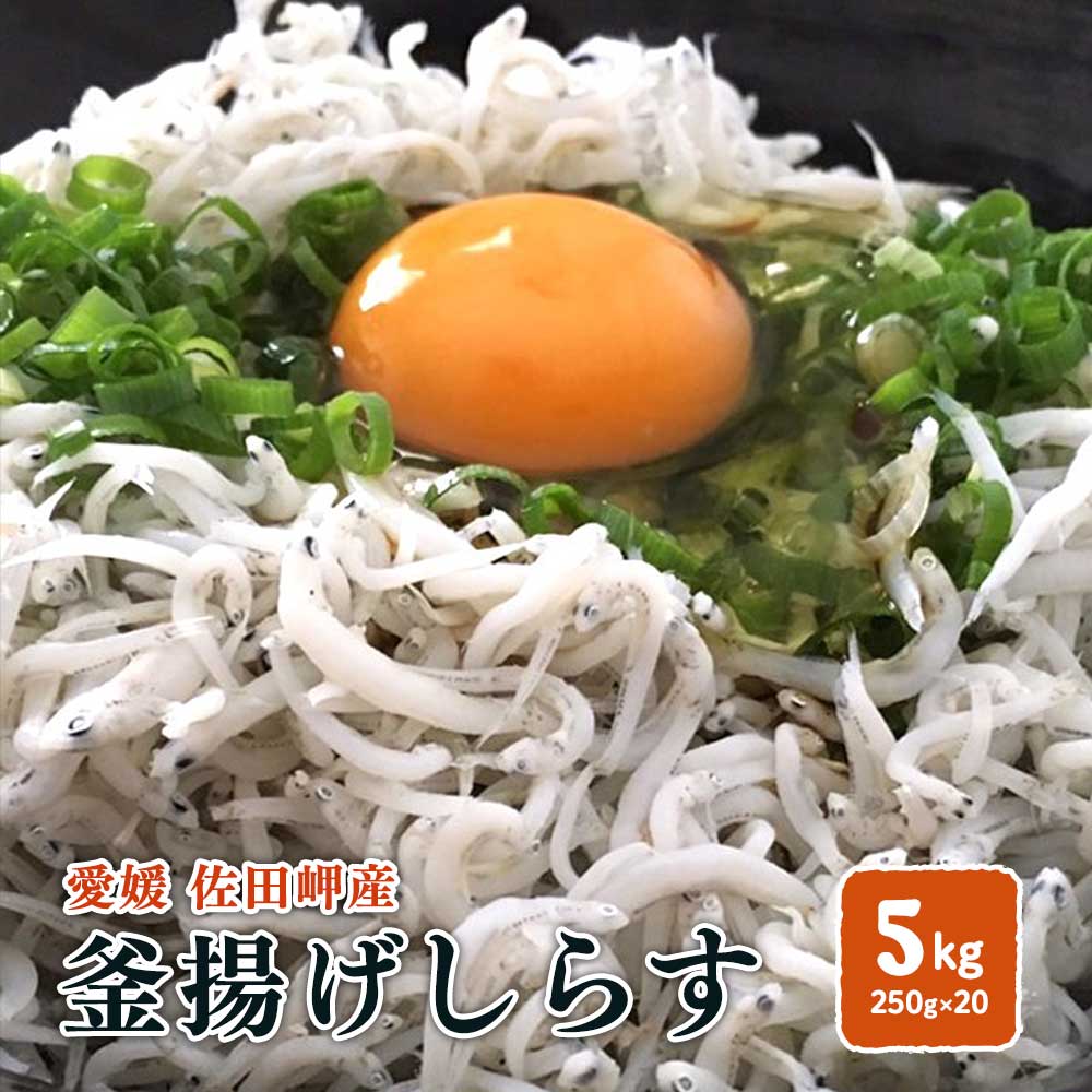 釜揚げしらす 5kg （250g×20p）冷蔵便 愛媛 佐田岬産 送料無料 北海道/沖縄/東北は別途送料 宇和海の幸問屋 愛媛百貨店