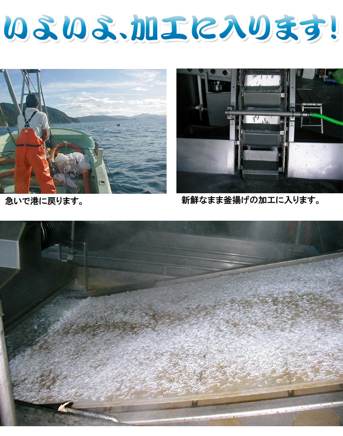 愛媛佐田岬産(釜揚げしらす3kg)250g×12p小分け冷蔵便送料無料北海道、沖縄、東北は別途送料宇和海の幸問屋