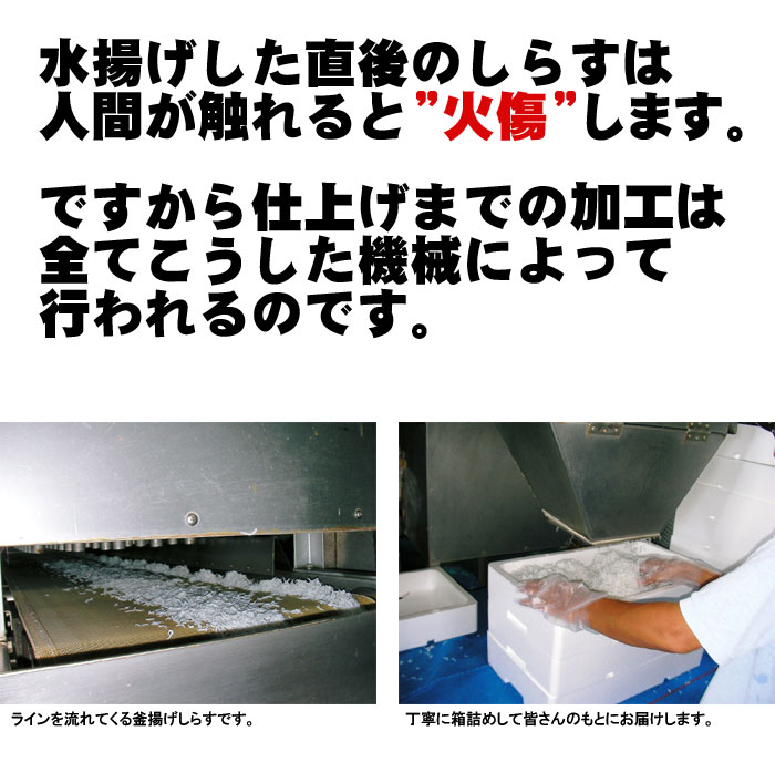 愛媛佐田岬産(釜揚げしらす3kg)250g×12p小分け冷蔵便送料無料北海道、沖縄、東北は別途送料宇和海の幸問屋