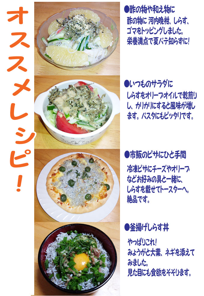 愛媛佐田岬産(釜揚げしらす3kg)250g×12p小分け冷蔵便送料無料北海道、沖縄、東北は別途送料宇和海の幸問屋