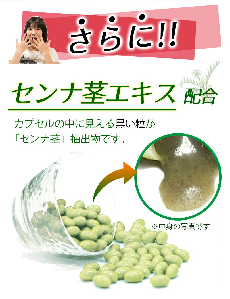 酵素サプリ生酵素熟成生野草酵素サプリメントBigsize120粒最大4カ月分野草64種類・海藻2種類・果物10種類・野菜9種類・糖類5種類】【90種類の熟成酵素配合】【メール便発送商品】若杉サプリ