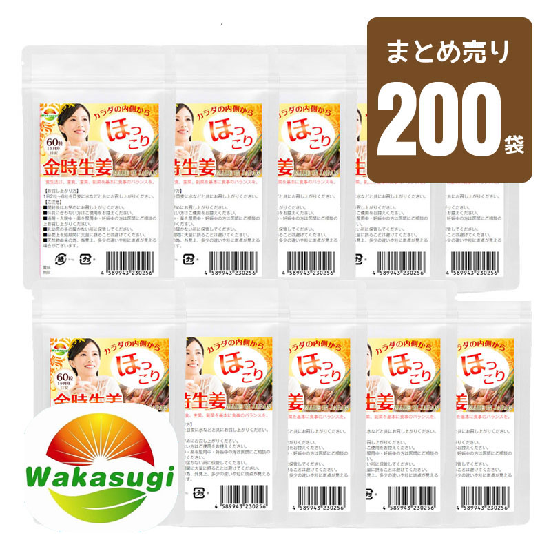 新着案内書