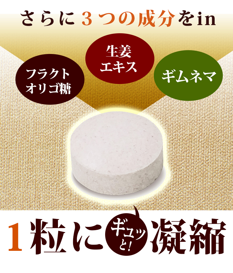 モデル着用＆注目アイテム まとめ売り 酵素麹粒 60粒熟成137種植物発酵エキス 厳選9種穀物麹ダブル酵素パワーが炸裂 fucoa.cl