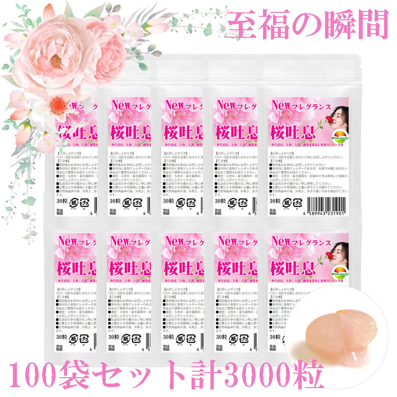 新着案内書