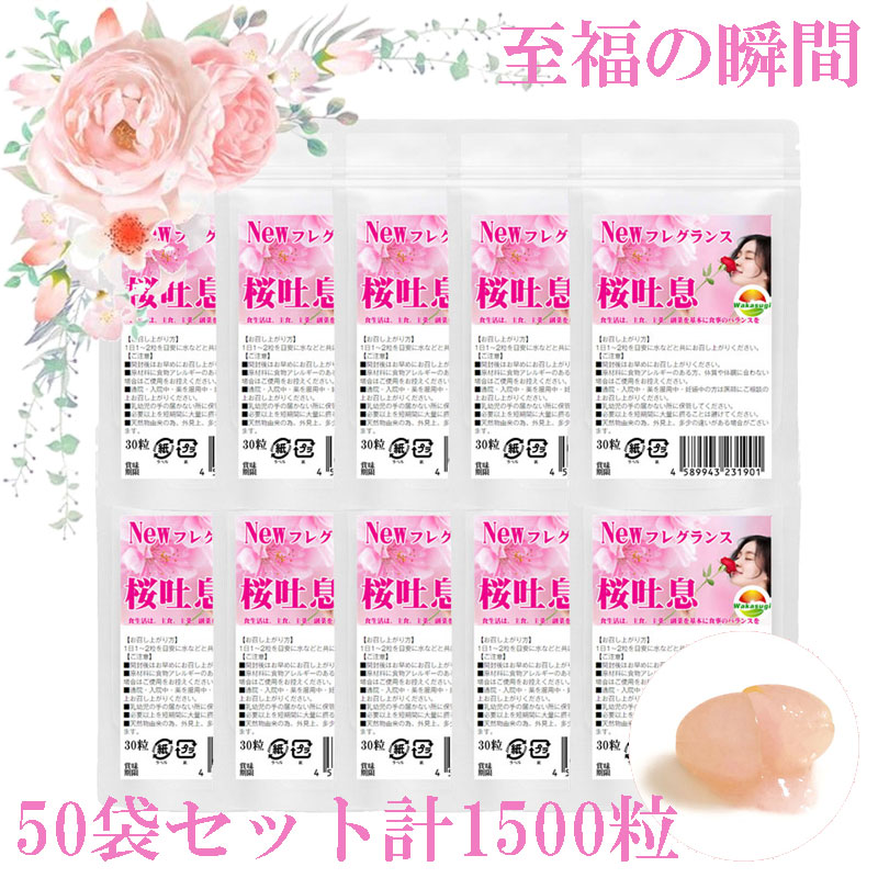 新着音沙汰