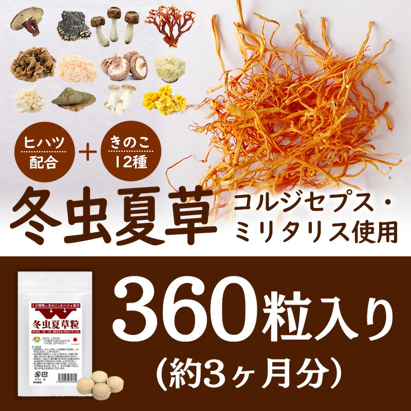 市場 Ｗ冬虫夏草粒 1日4粒で約3か月分 チャーガ 価値あるコルジセピン高含有の冬虫夏草に12種のきのこ+ヒハツ配合した新しい冬虫夏草粒 霊芝 360粒