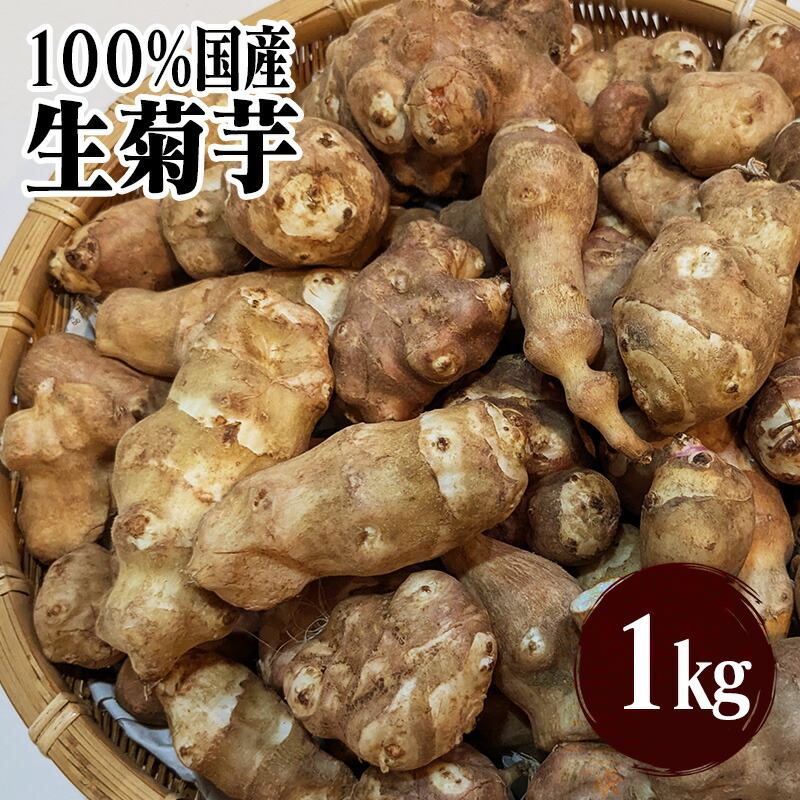 楽天市場】【即納】赤菊芋 生 2kg｜土落とし・軽洗浄済みで発送｜無