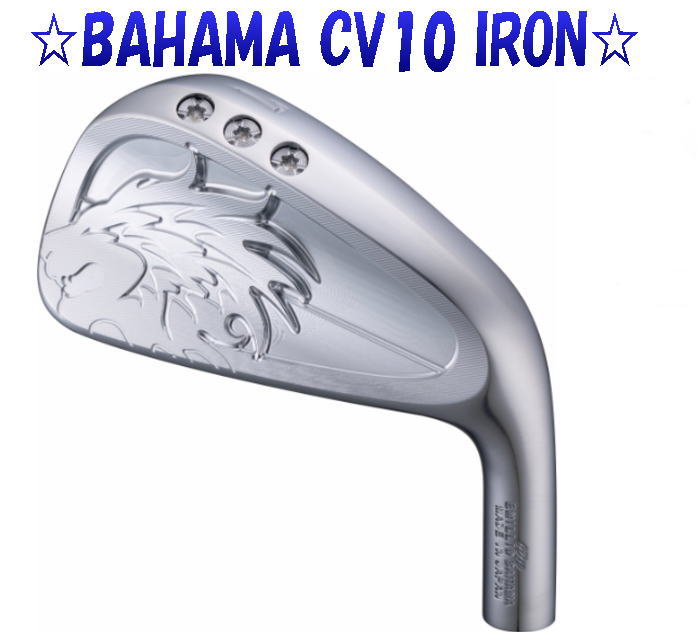 エミリッドバハマ/EB-901 IRON/#5〜PW(6本セット)/EMILLID BAHAMA/アイアン/Dynamic_Gold/ダイナミックゴールド/TRUE_TEMPER/カスタムクラブ/代引NG EMILLID BAHAMA エミリッドバハマ⁄EB-901 IRON⁄#5〜PW(6本セット