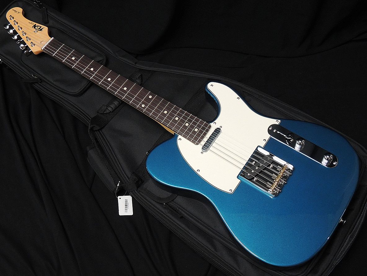 売り出し FGN FUJIGEN フジゲン NTE10RAL-OLP Neo Classic SERIES