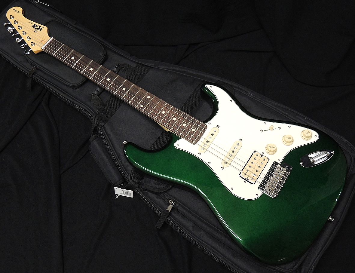 保存版】 FGN FUJIGEN NST11RAL CAG Neo Classic SERIES SSH フジゲン 