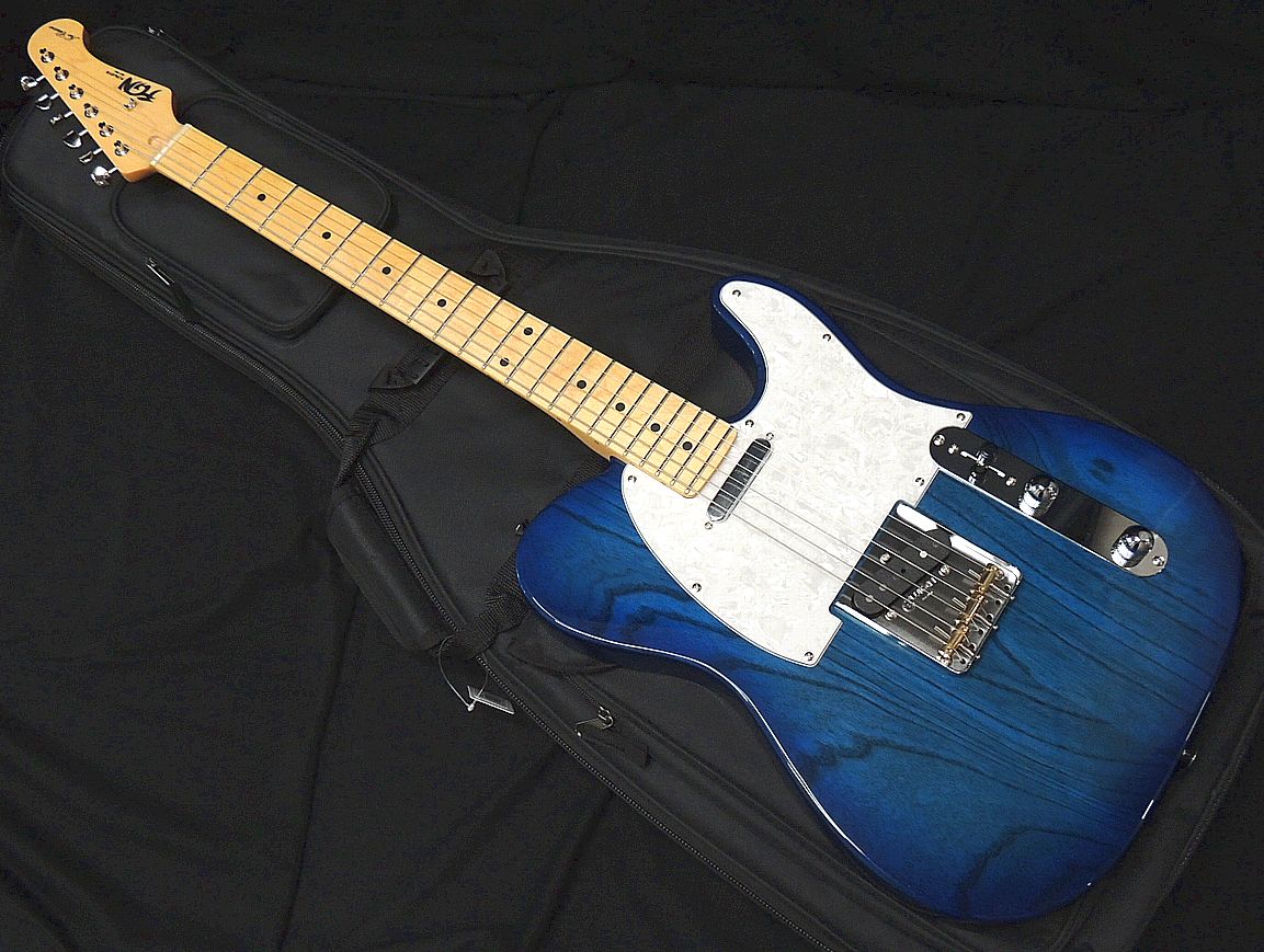 【楽天市場】FGN FUJIGEN NTE10MAHT WB フジゲン Neo Classic