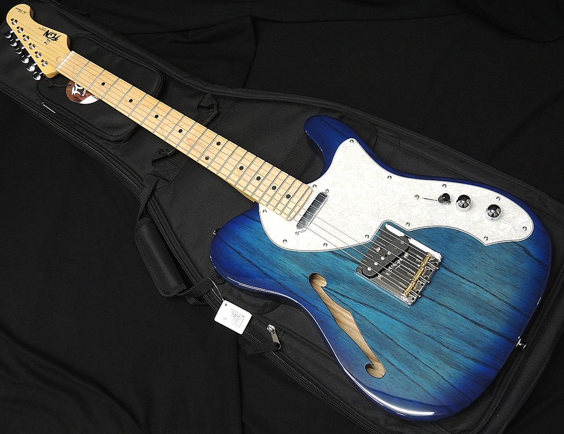 【楽天市場】FGN FUJIGEN NTE110MMHT NT フジゲン Neo Classic SERIES シンライン テレキャスタータイプ  ナチュラル マホガニー エレキギター【送料無料】【祝!!楽天ランキング1位】 : オーディオ渡辺