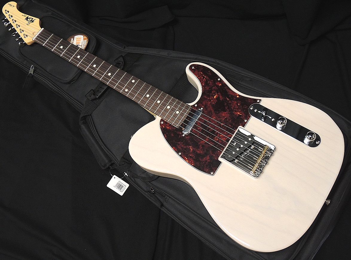 楽天市場】FGN FUJIGEN NTE100MAHT WB フジゲン Neo Classic