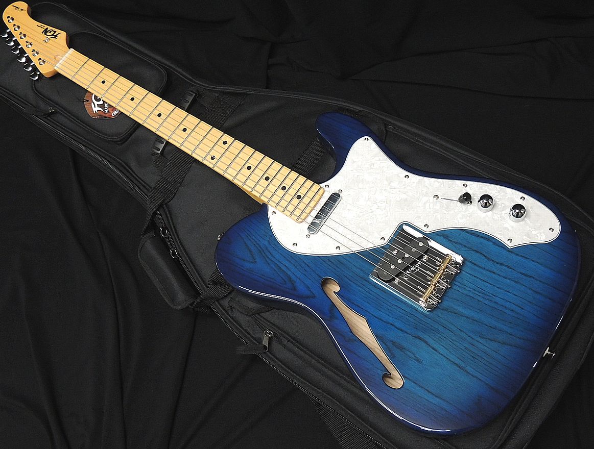【未使用品】FUJIGEN BIL2-G-HS フジゲン エレキギター 楽天市場】FgN(FUJIGEN) BIL2-G-HS 3TS 新品[フジゲン][サン