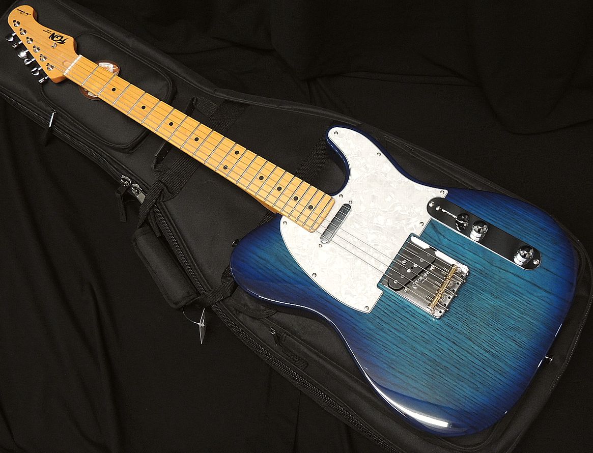 楽天市場】FUJIGEN/FgN Neo Classic NTE210RAH SBB(Fine Tuned by