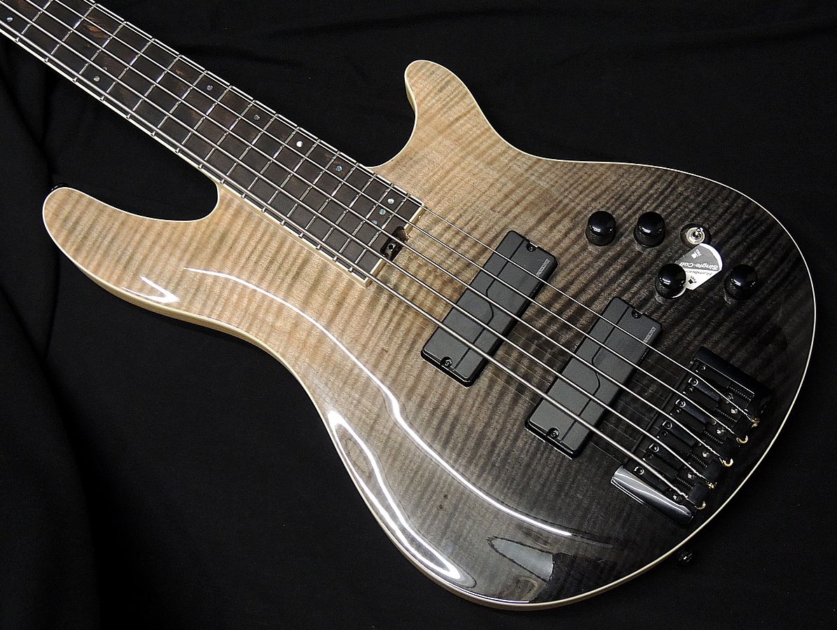 Schecter C-5 SLS Elite AD-C-5-SLS-EL BFB Black Fade Burst