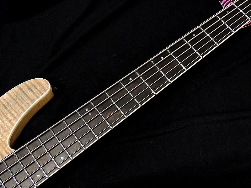 ぴ*よ様 Schecter C-5 SLS Elite エレキベース 5弦 SCHECTER Schecter C-5 SLS Elite AD-C-5-SLS-EL BFB Black Fade