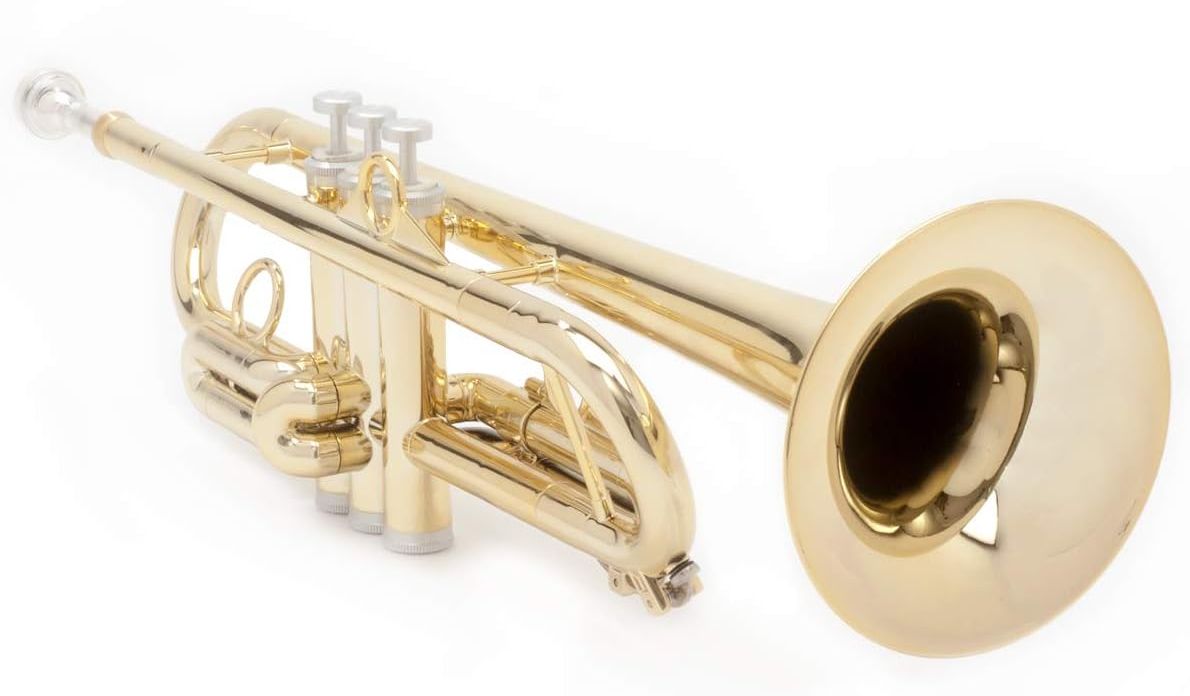 pInstruments ピーインストゥルメンツ プラスチック製管楽器 トランペット pTrumpet hyTech Bb調 軽量&高耐久ABS製 バイオコート抗菌 PTRUMPET1HTG ゴールド ブラス製マウスピース/ギグバッグ付属