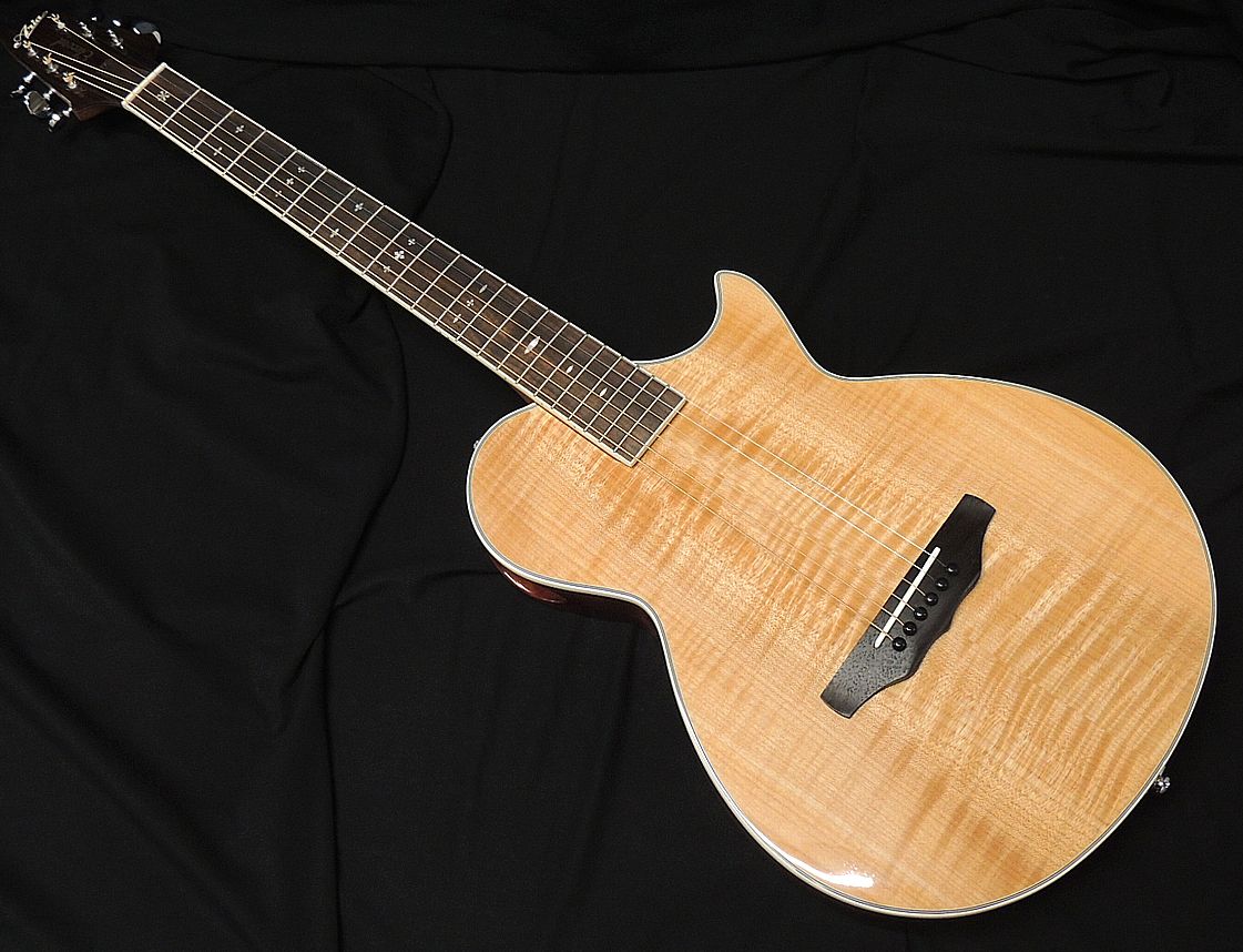 【楽天市場】SCHECTER OL-FL-P STBK Oriental Line シェクター 薄胴 アコースティックギター Fホール エレアコ  テレキャスターシェイプ サテン シースルーブラック パッシブ仕様【マイナーチェンジモデル】【送料無料】【祝!!楽天ランキング1位 ...