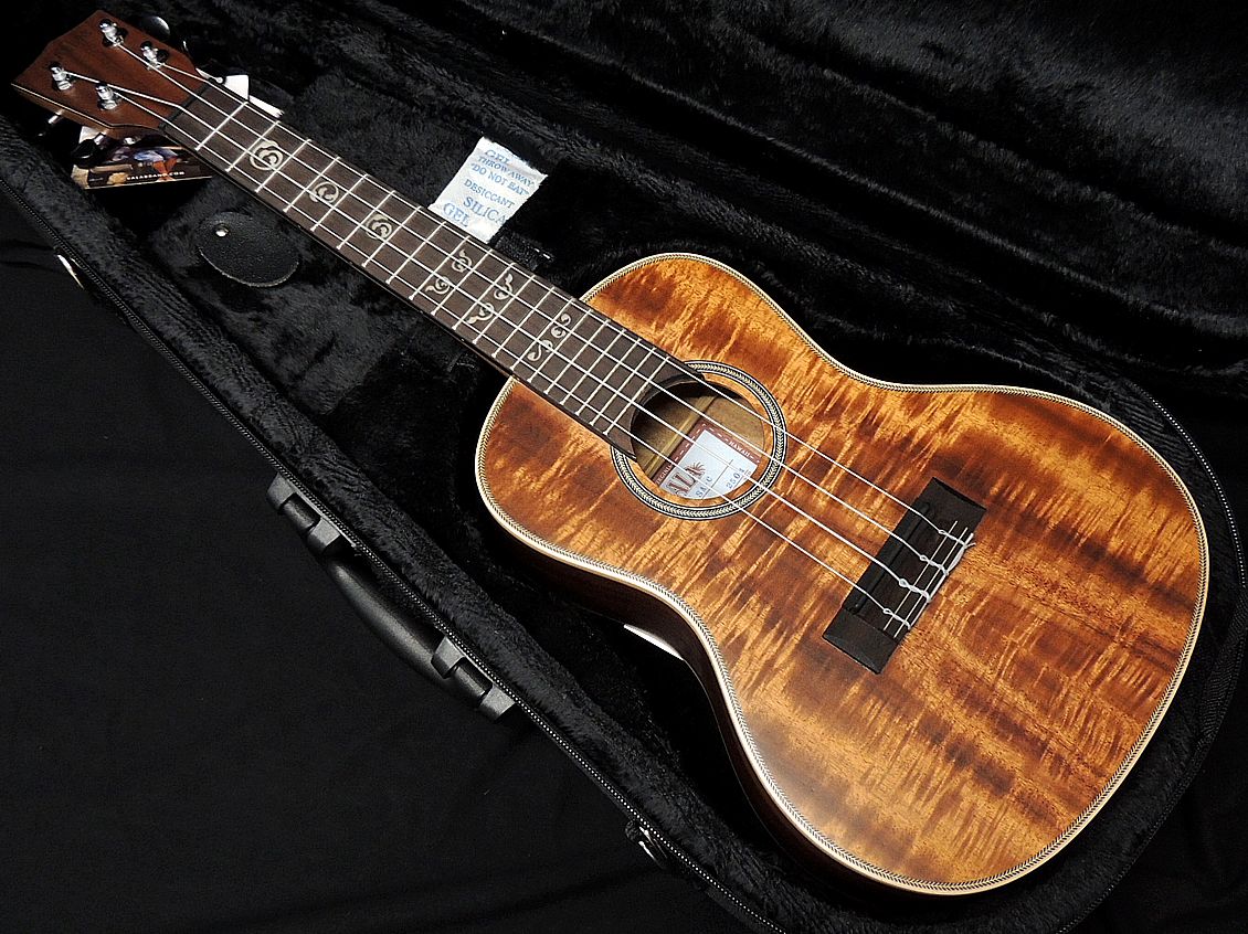 KALA KASA-C-WCASE20_06 [KA-SA-C 後継モデル] カラ ウクレレ Solid Acacia Series オールソリッドアカシアボディ コンサート オール単板【送料無料】【祝!!ランキング1位】 44,688円