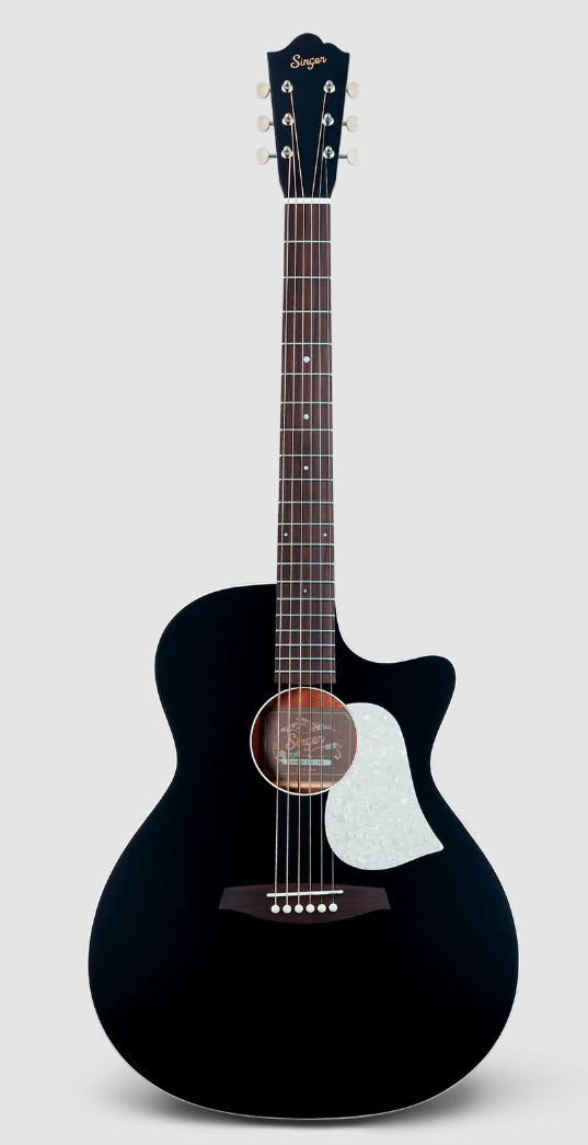 【Singer】Acoustic Imagine Series P01 aNueNue P01 Singer Acoustic Imagine Series 現物写真 アヌエヌエ