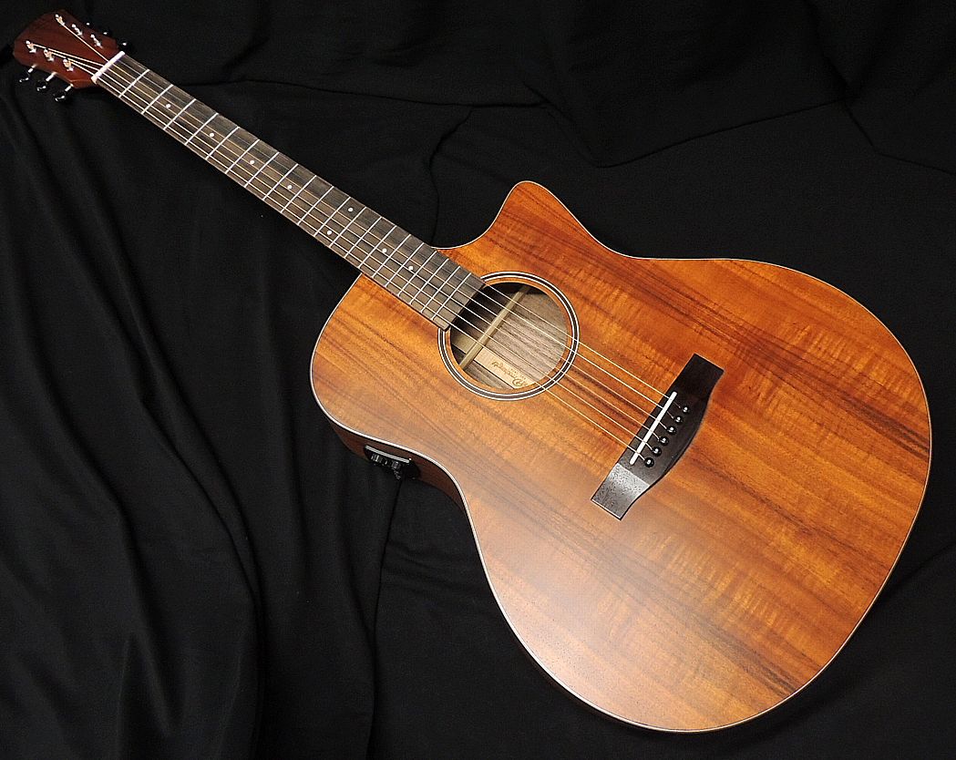 ARIA AF-101MHCE N マホガニーカッタウェイ ARIA AF-101MHCE N