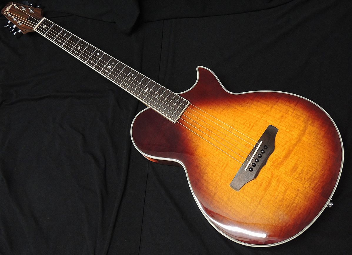 ARIA APE-100 TS 薄胴 エレアコ エレクトリック アコースティックギター サイドサウンドホール Fishman タバコサンバースト【送料無料】