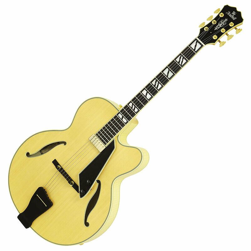 ARIA PROⅡ FL series エレキギター ARIA（楽器） Ariapro II FL-Series Electric Guitar エレキ