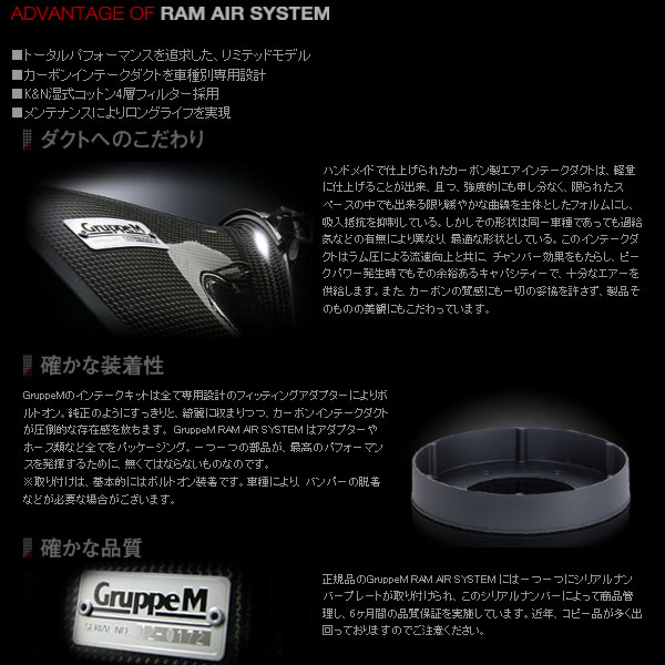 GruppeM グループエム FRI-0320 RAM AIR SYSTEM ラムエアシステム BMW