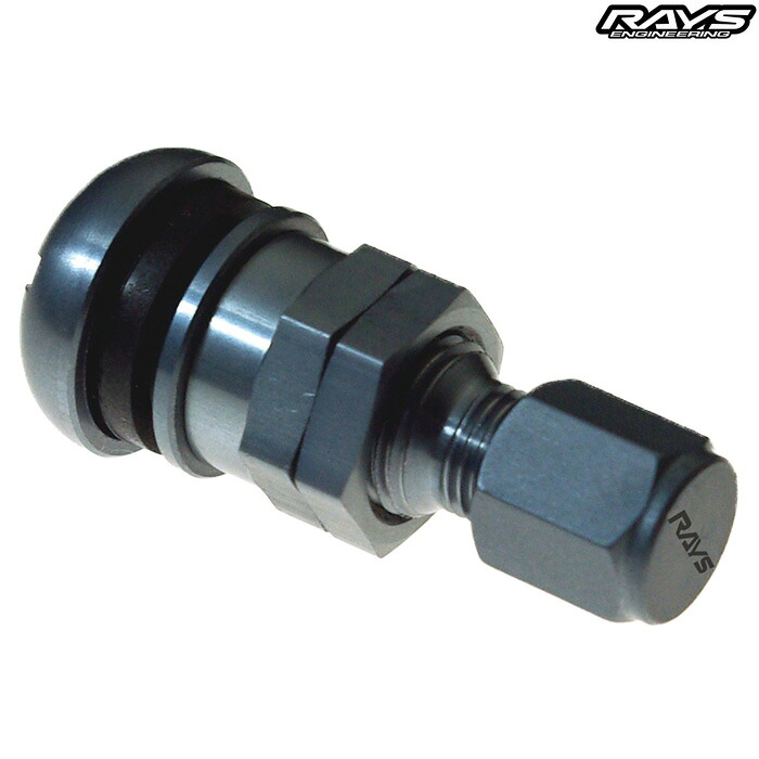 レイズ No.48 ユーロピアン アルミバルブ GS ガンメタ 4個セット 65050000075GS