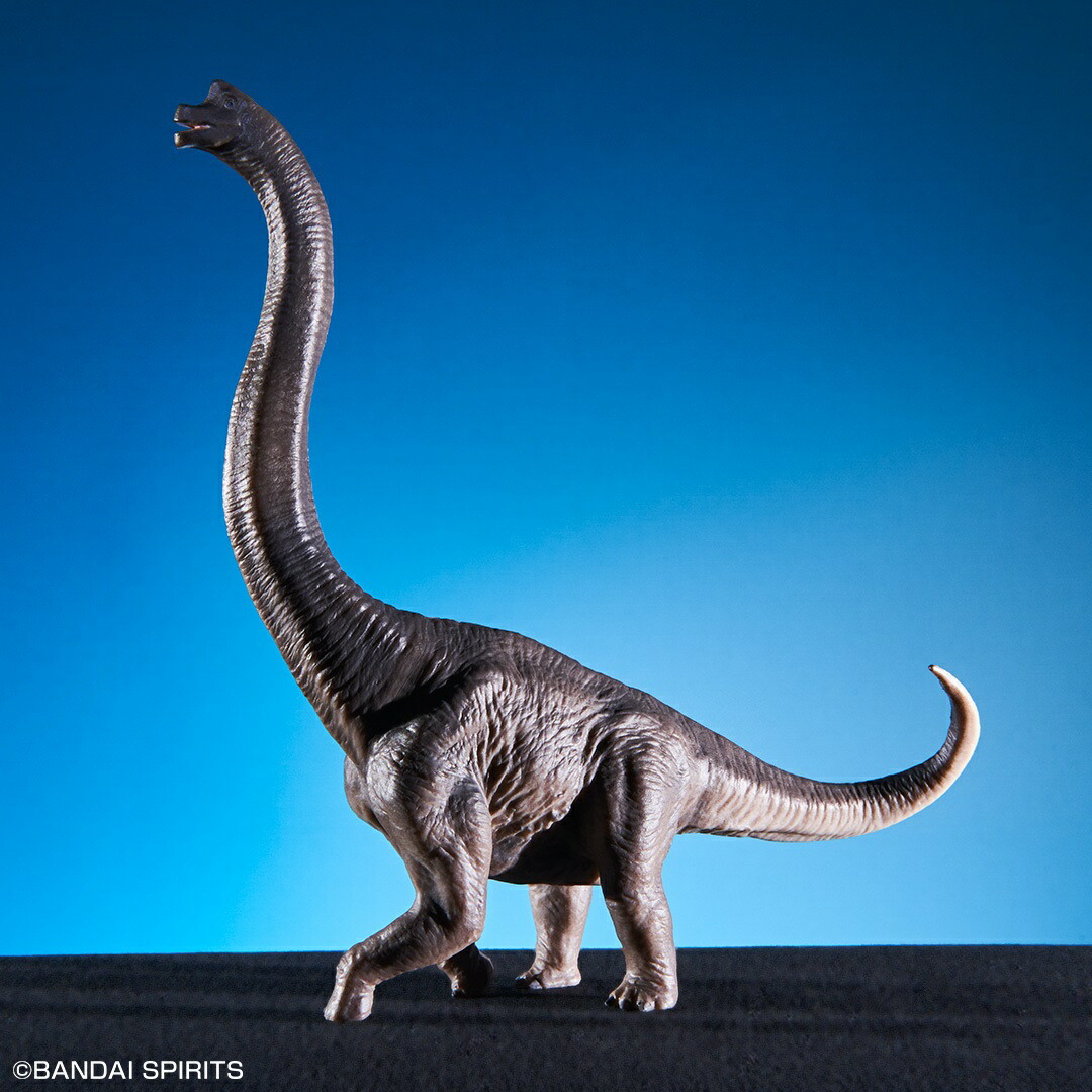 楽天市場】【ポイント10倍 & クーポン！】プラキオサウルス ビッグ