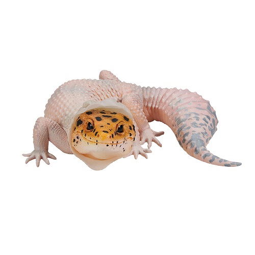 【動物の惑星】フトアゴトカゲ ホワイトplus/ ラストワン賞! フィギュア フトアゴヒゲトカゲ フィギュア 一番くじ 爬虫類＆両生類 ラスト