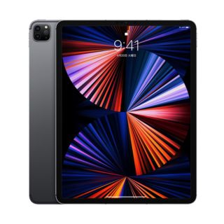 【安全性のある！当社1ヶ月引き請ける付き添い人】【確保済品】Apple iPad Pro 12.9in Wifi+Cellular 512GB MHR83J/A 間隔文字薄墨色
